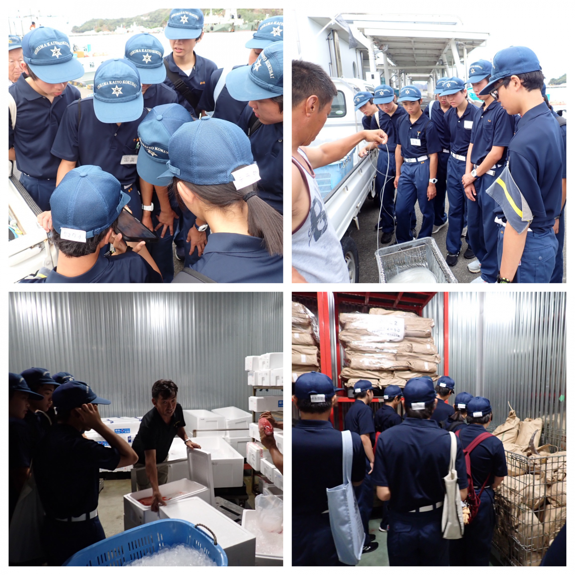 Blank 4 Grids Collage (36)